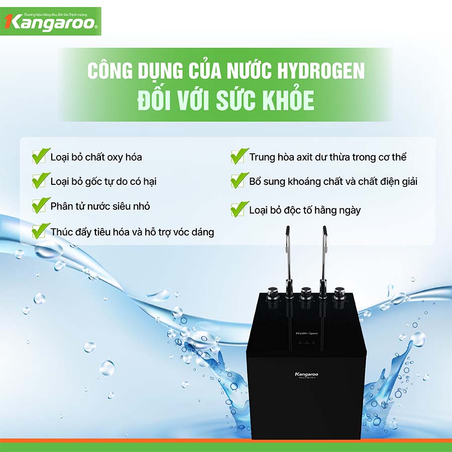 Máy lọc nước nóng lạnh Kangaroo KG10A15 QH246205 2